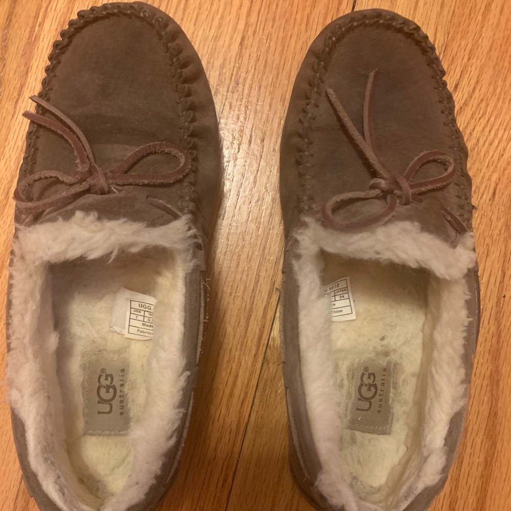 Brown Dakota uggs size.